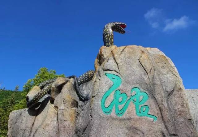 蛇治好了他的眼睛 为了报恩 他决定下半生做蛇的保护神