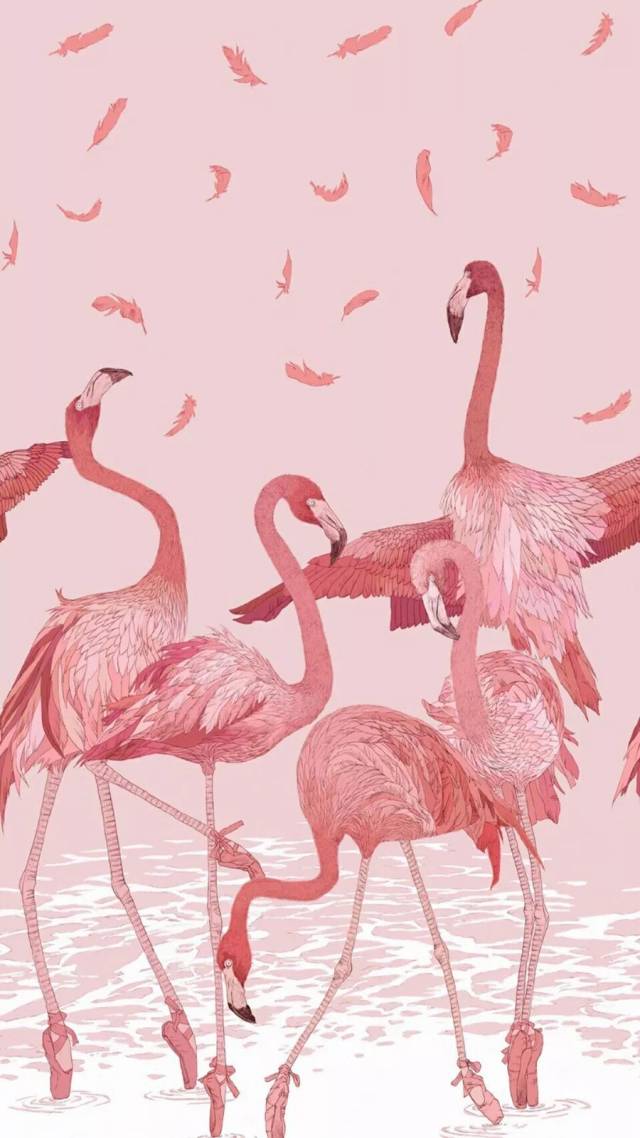 个性&萌系粉色少女心壁纸