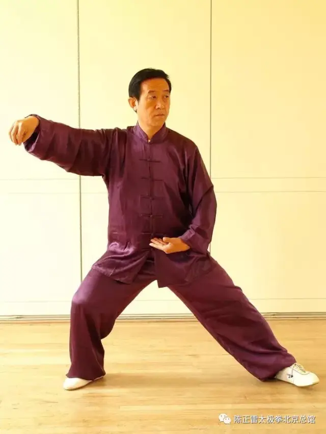 陈正雷老师演示:陈氏太极拳精要十八式--第五式