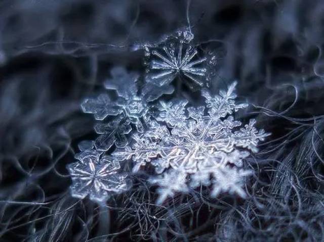 不可思议美的惊艳雪花微信头像