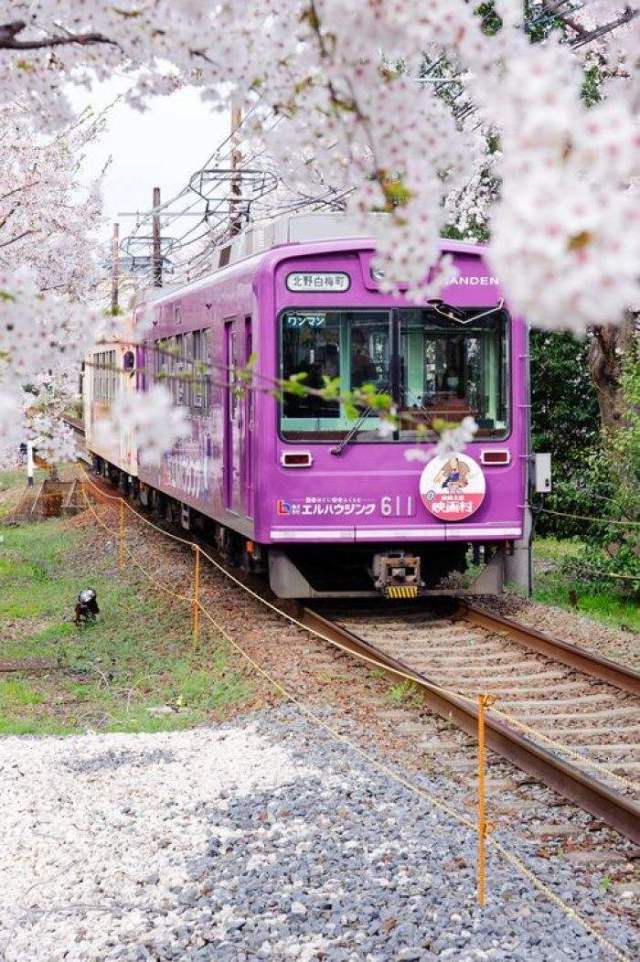 2018德阳签证、护照快速办理攻略,轻松出国so