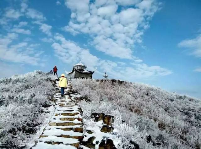 下周福建福安会下雪吗?