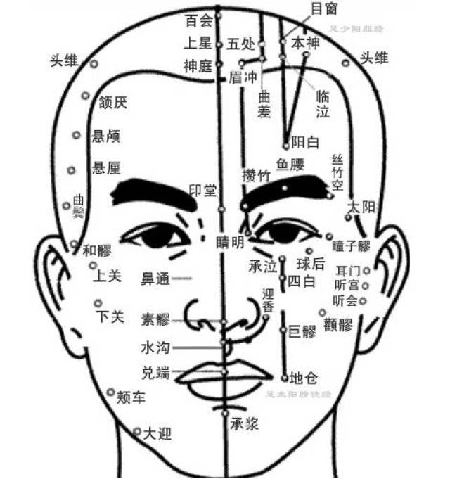 脸部穴位和颜值不得不说的那些事