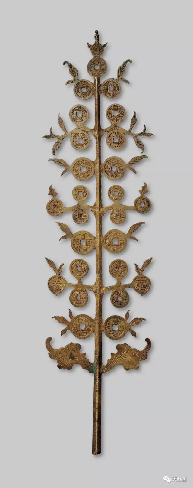 世上真有摇钱树,美!