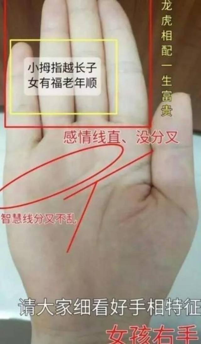不为人知得小指手相,小指代表小孩,你的小指是怎么样的?