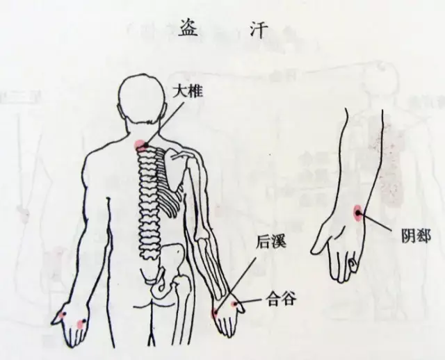 肠胃不好刮痧刮图,去胃火刮痧图,脾虚刮痧示意图_大山谷图库