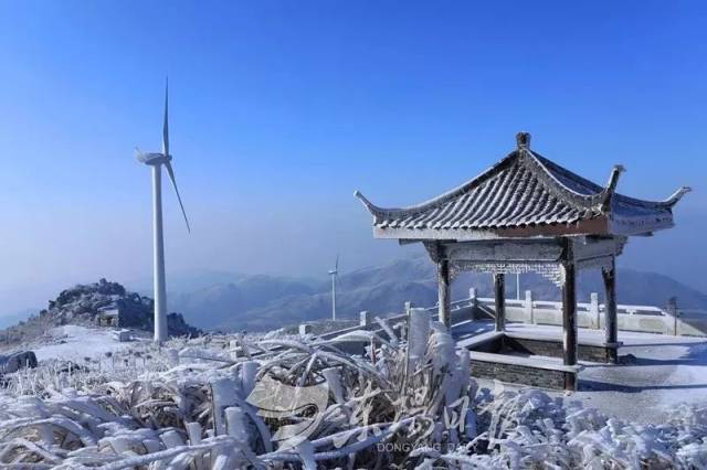 12月17日,东白山景区白雪皑皑万木凋零,天寒地冻傲雪凌霜.