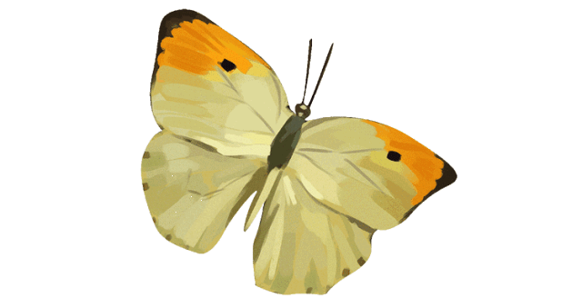 这些动态贴纸,也可以保存下来,成为你