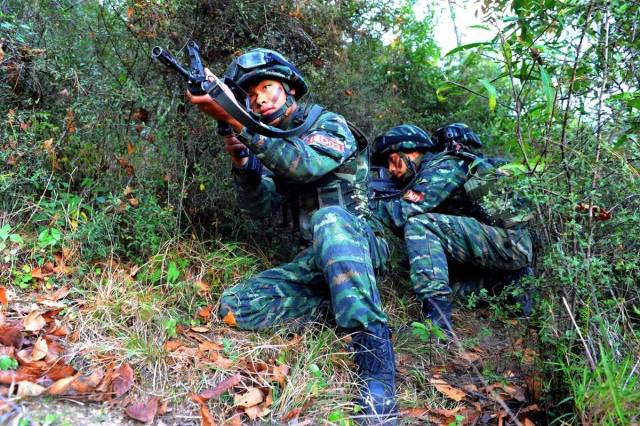 中国远征军丛林战图片