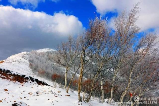 【元旦】 探尋雪的特質,去雪中的壩上草原盡情撒歡吧!| 青禾旅讀