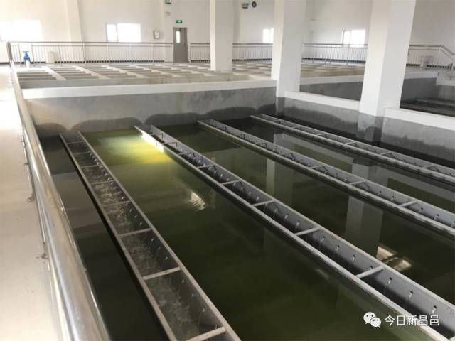 濉溪水费查询：了解水务管理新工具
