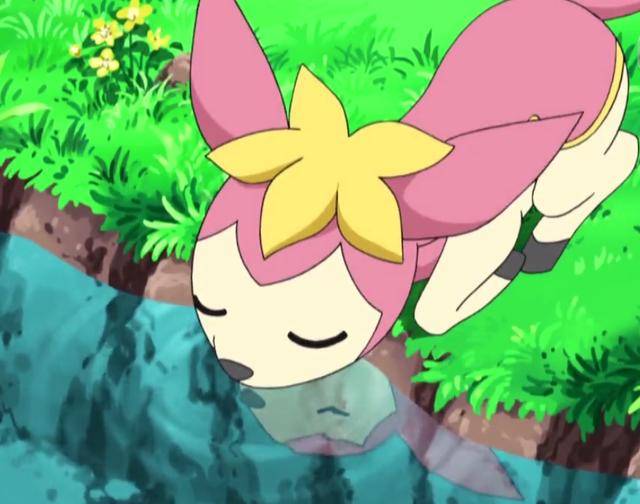 四季鹿的头顶有一朵小黄花,每到换季的时节,或者周围的温度湿度发生