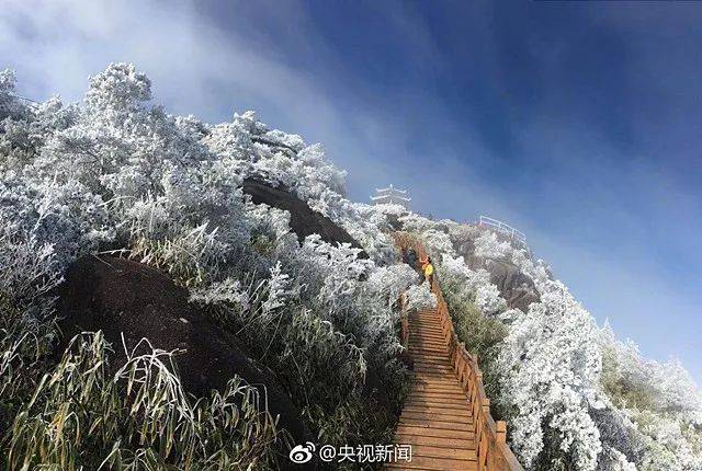 第一场雾凇,福建美成天堂 受冷空气影响 福建德化九仙山17凌晨最低