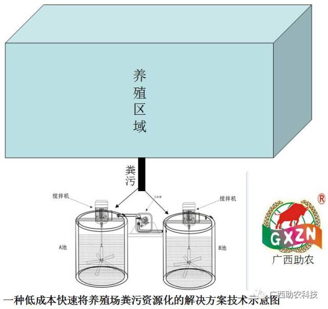 仔猪繁育基地，现代农业科技新标杆