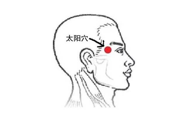 目外眦位置图片,目外眦线位置图,目外眦的准确位置图片(第4页)_大山谷图库