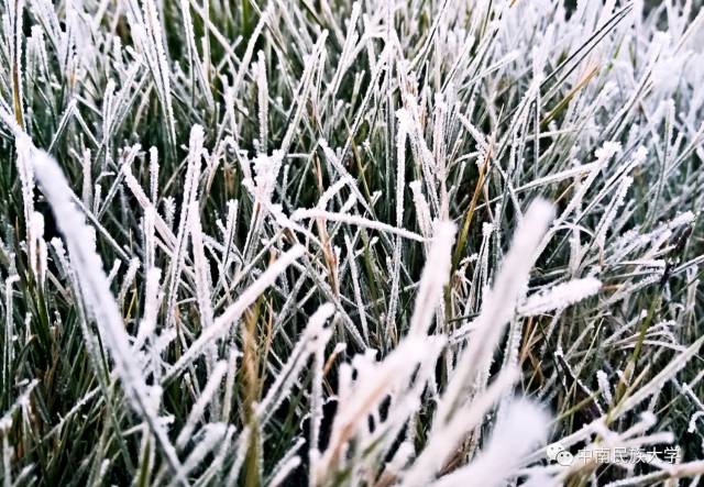 河南冰针雪,冰针,雪冰(第7页)_大山谷图库