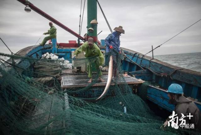 实拍渔民冬天出海捕鱼!
