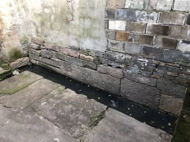 居民院子水沟为何经常有难闻气味?