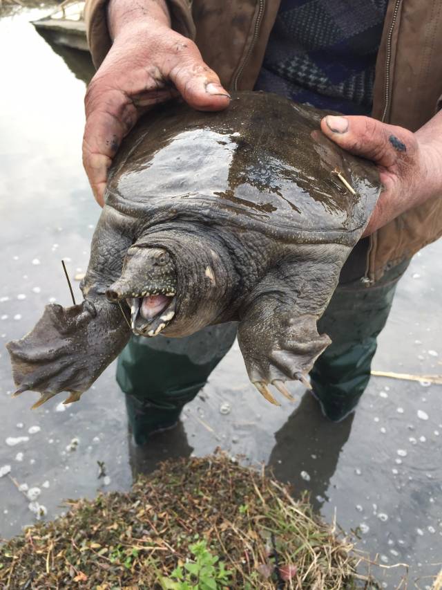 新时代,新面貌丨你好,我是河姆渡