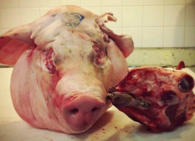 你所不知道的动物头颅的种种吃法