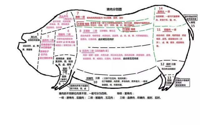 豬肉分割圖各部分特點及用途 1,豬頭.包括眼,耳,鼻,舌,頰等部位.