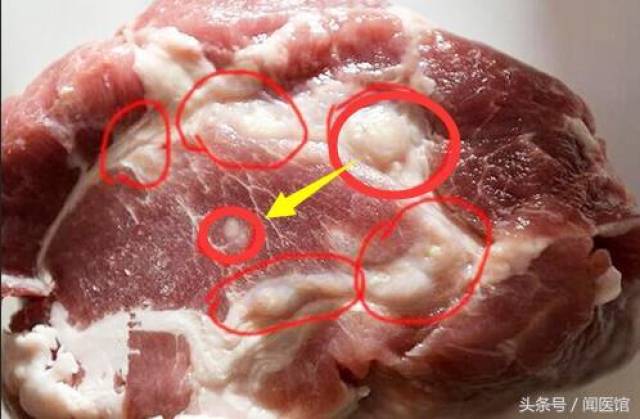 猪肉常吃为了家人健康学会一眼识别死猪肉母猪肉注水肉