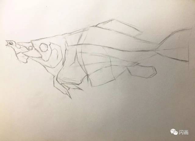 第二步:用铅笔勾画具体细节.