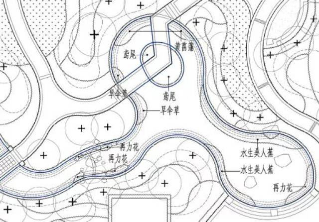 【文科设计手册】主要绿化分类种植要点——水生植物与岩生植物栽植