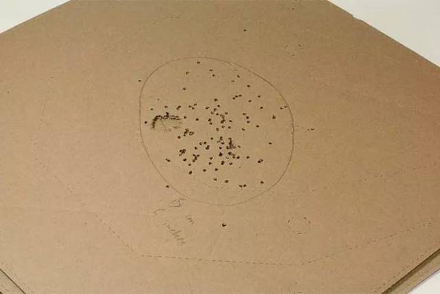 60%的子弹集中在30英寸的范围内.