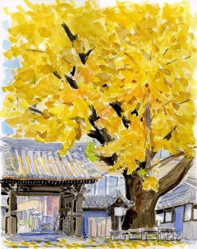 静谧而温暖：来自日本插画师Toshiko 绘画作品_搜狐网