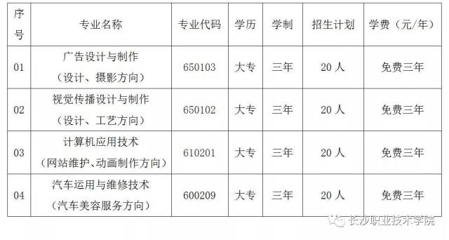 企业官网定制：构建数字化企业的隐形翅膀