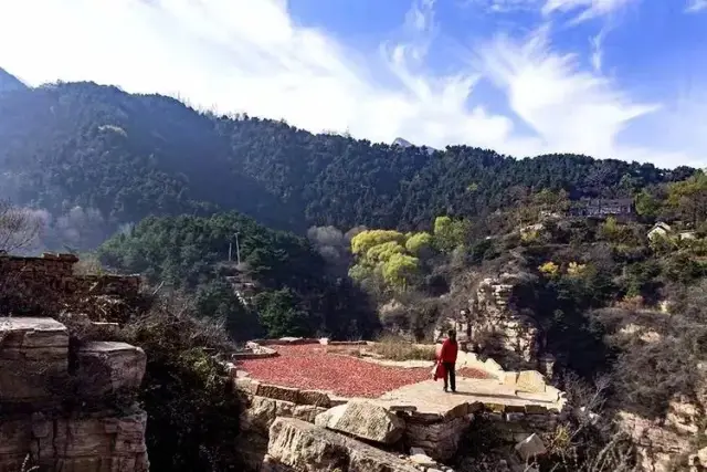 陵川这个被世人遗忘的小山村,隐藏着世间最美好的风景!