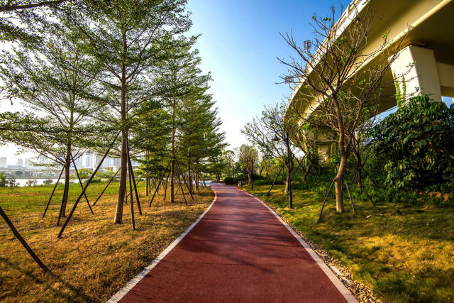 【泛亚出品】一条亲水慢道,串联泉州市区"慢线生活"