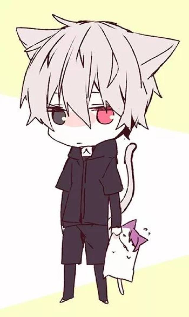 【二次元福利】金木研专场-不喜勿入