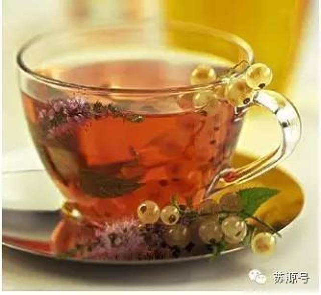 喝什么茶可以养肝护肝?