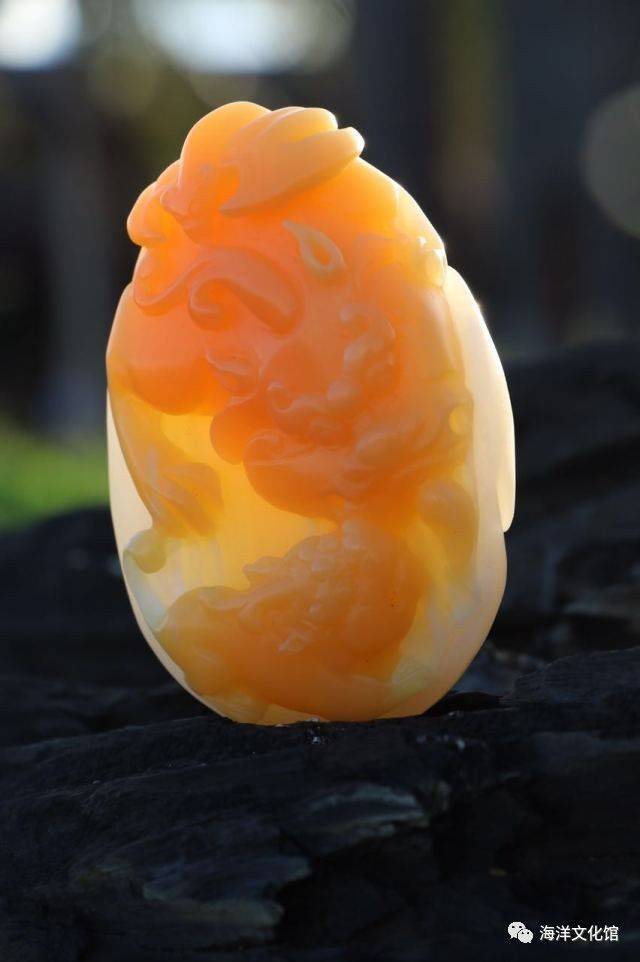 富有前景的海洋之魂宝——海底玉