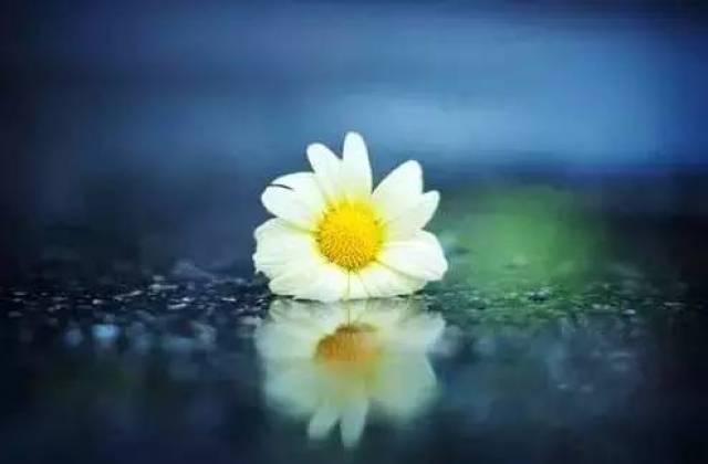 一首超好听伤感情歌《怎么忍心伤害一个爱你的