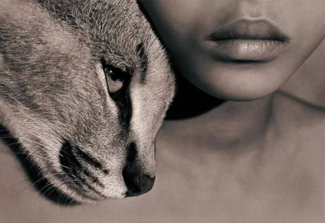 长大后的格里高利,很自然成了一名动物纪录片摄影师