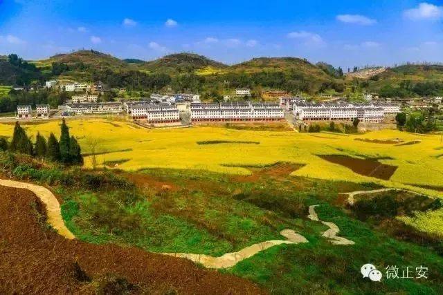 惠水好花红千户布依寨惊艳全国,入选2017中国最美村镇!