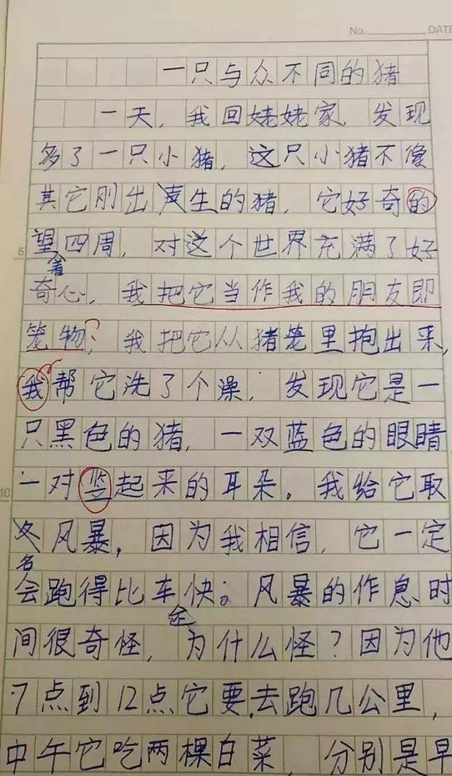 小學老師批改學生作業,氣到吐血差點揮刀自盡……膩害了我的娃!