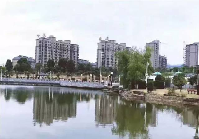 毗邻活海欢乐水世界 更与桐城市最大的城市生态公园——西郊公园为伴