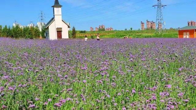 明年,秦皇岛又一个全国性的大事件