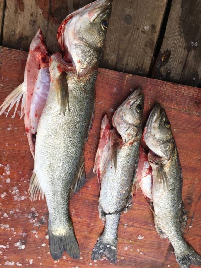 铁将军把门. 好在是友人相邀,遂得入门.