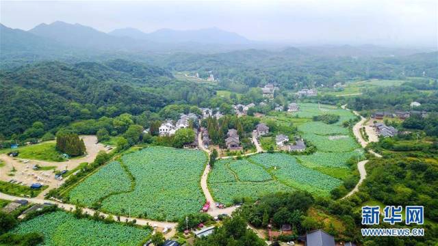 國家認證信陽郝堂村將成為最幸福的地方