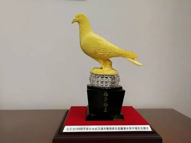 "安华三百万" 赢得金鸽一枚!