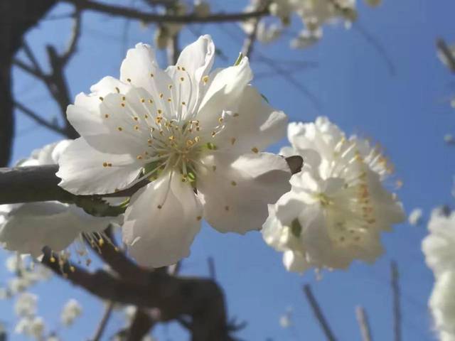 小动物工作室日常三月