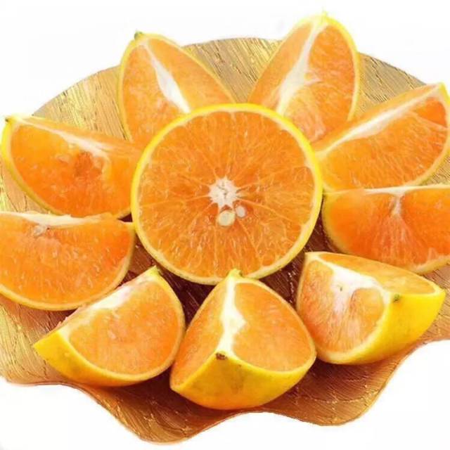 红江农场
