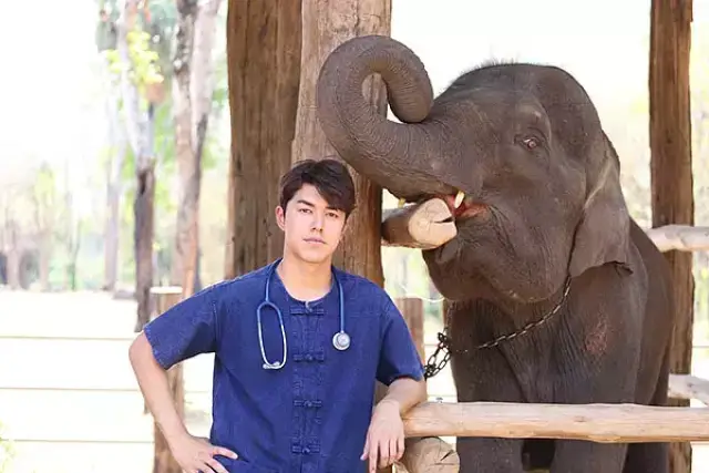 情敌变恋人?论掰直抢走自己初恋女友的女人是