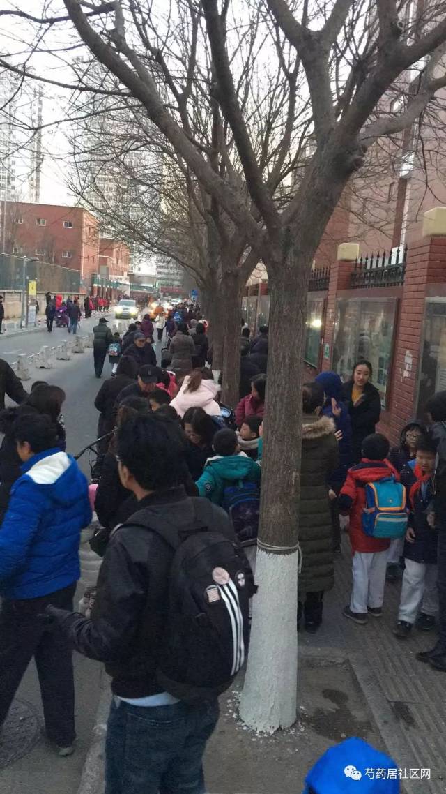 【第1195期】芍药居小学放学照片,也是人山人海,以后孩子更多,人大