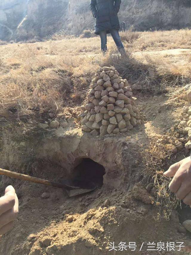 老兰州人 过去的经历 锅锅灶儿 烧洋芋 焖焖香好吃